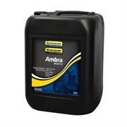 AMBRA MULTI G 10W-30 60L